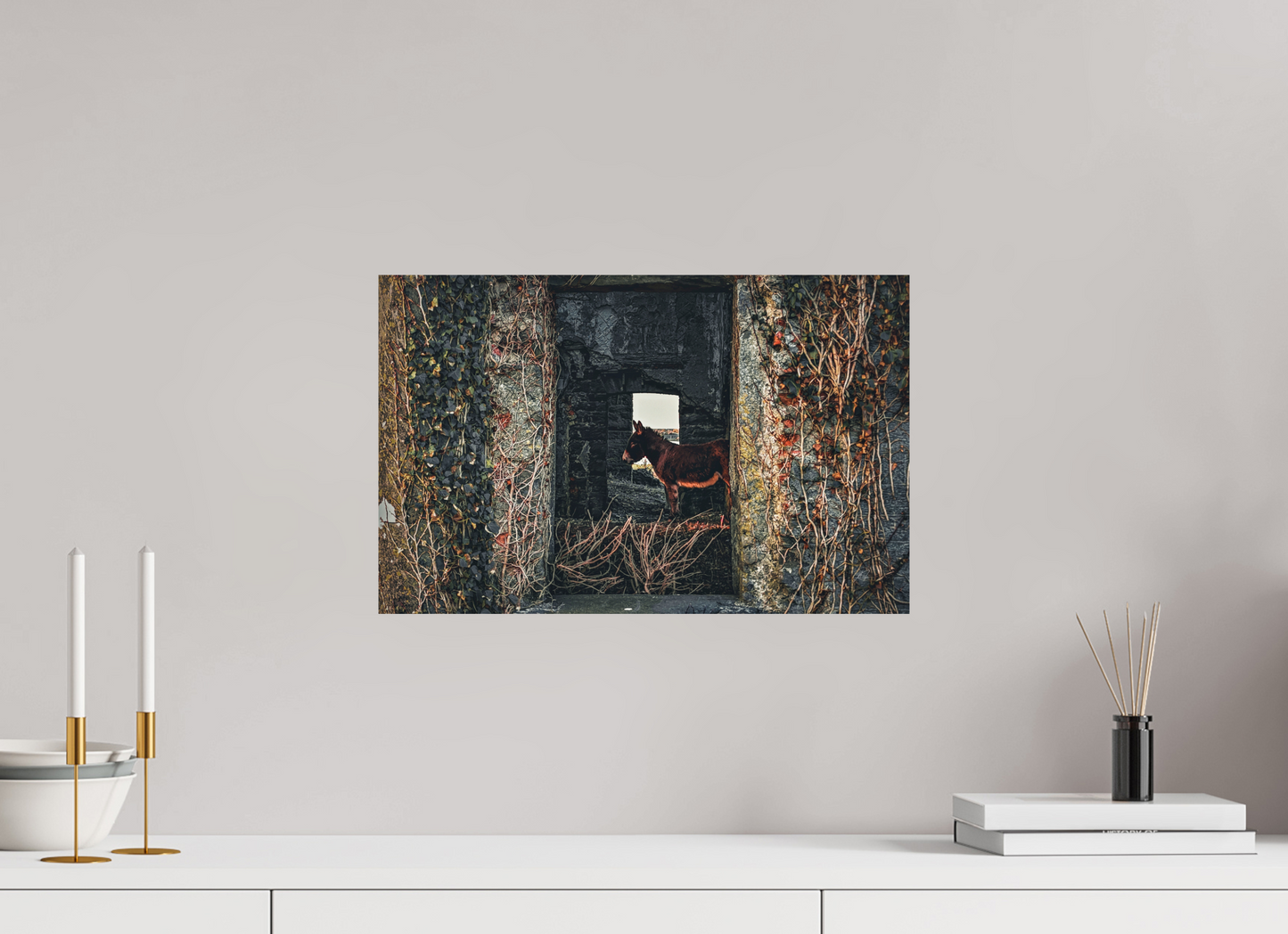 Donkey Through The Window Print