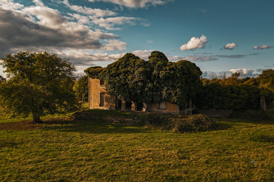 Ballynagarde House Print