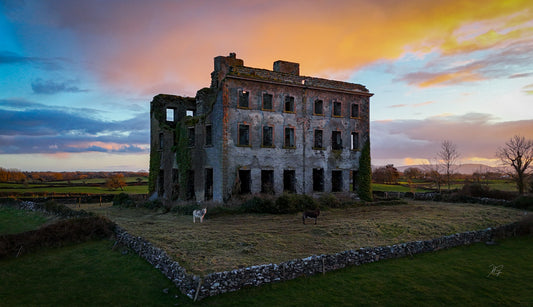 Tyrone House At Sunset Print